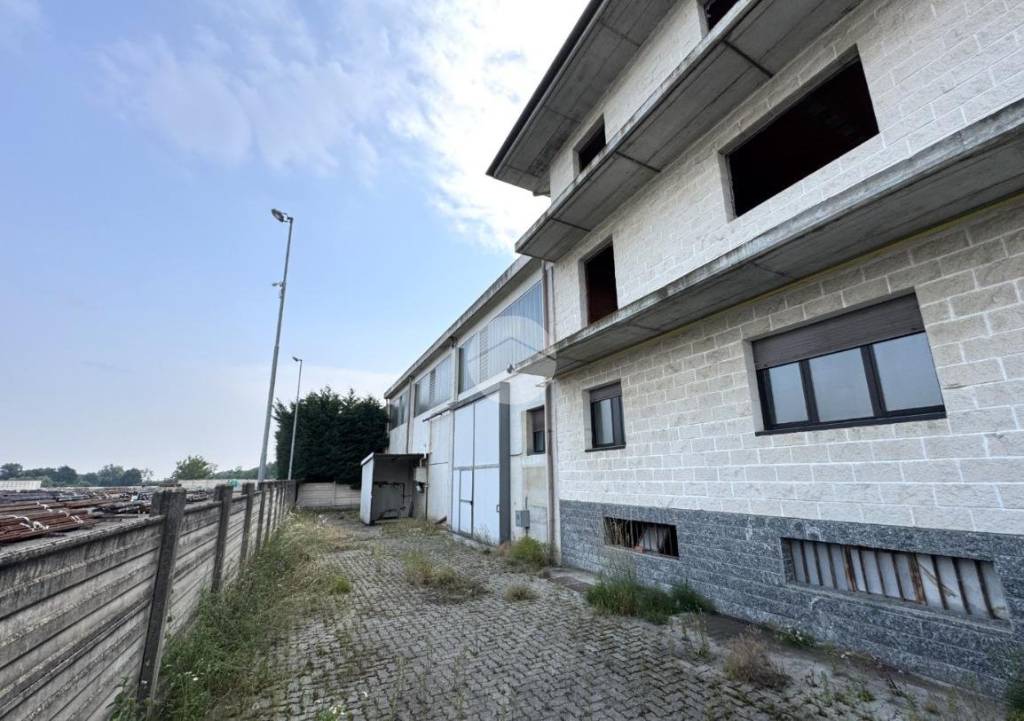 immagine annuncio 9 di 15