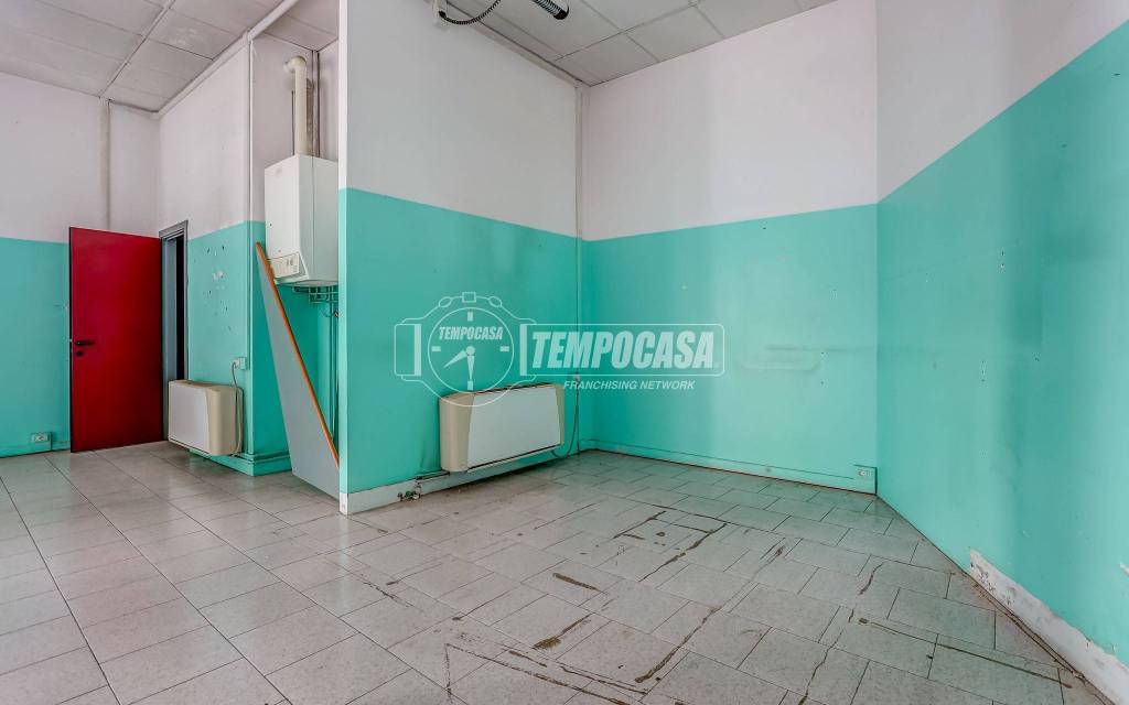 immagine annuncio 6 di 15