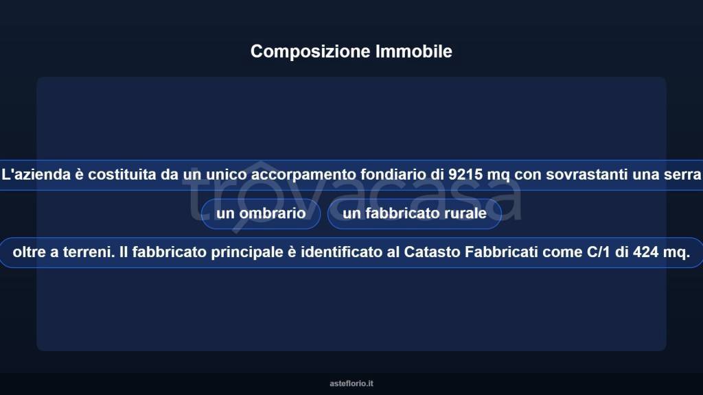 immagine annuncio 8 di 10