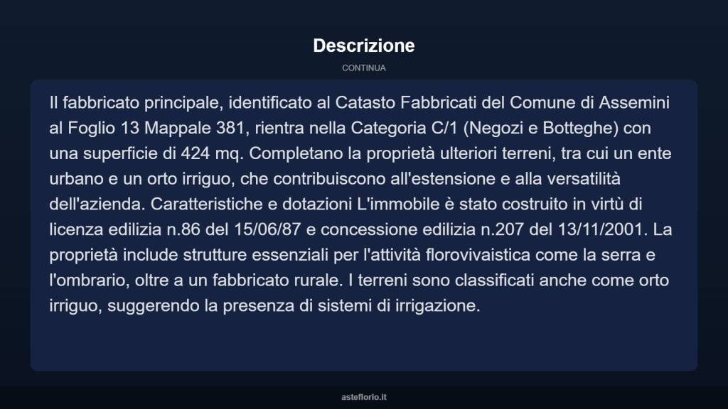 immagine annuncio 9 di 10