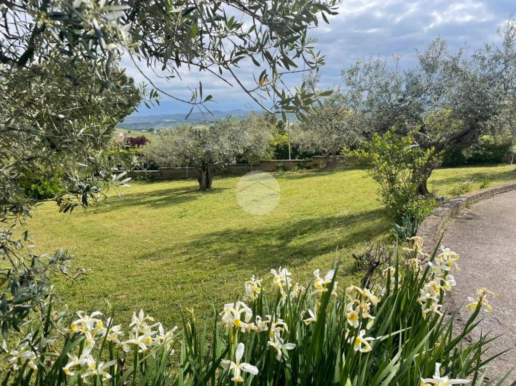 immagine annuncio 1 di 9