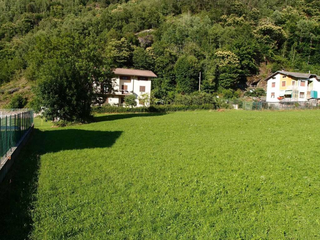 immagine annuncio 1 di 12