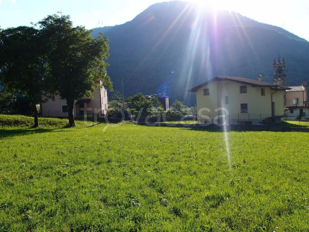immagine annuncio 4 di 12