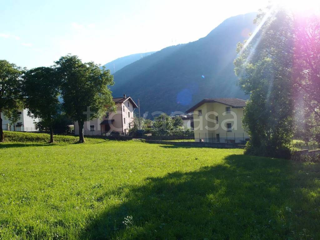 immagine annuncio 5 di 12