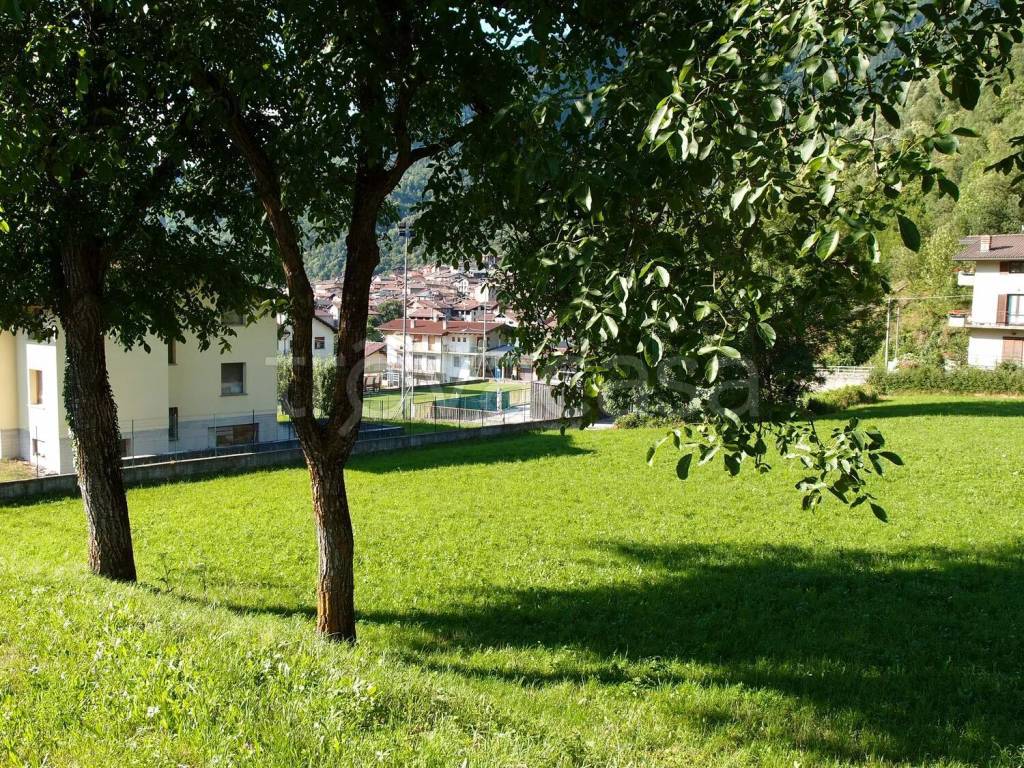 immagine annuncio 8 di 12