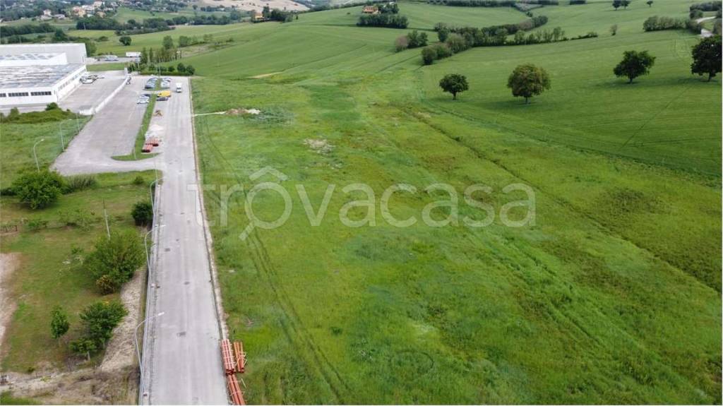 immagine annuncio 2 di 14