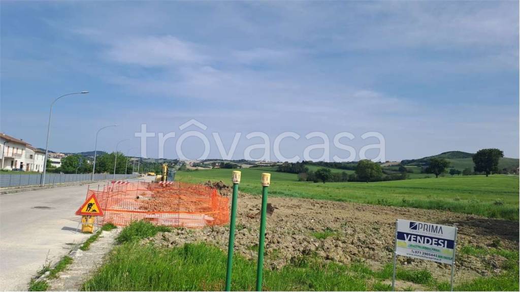 immagine annuncio 8 di 14