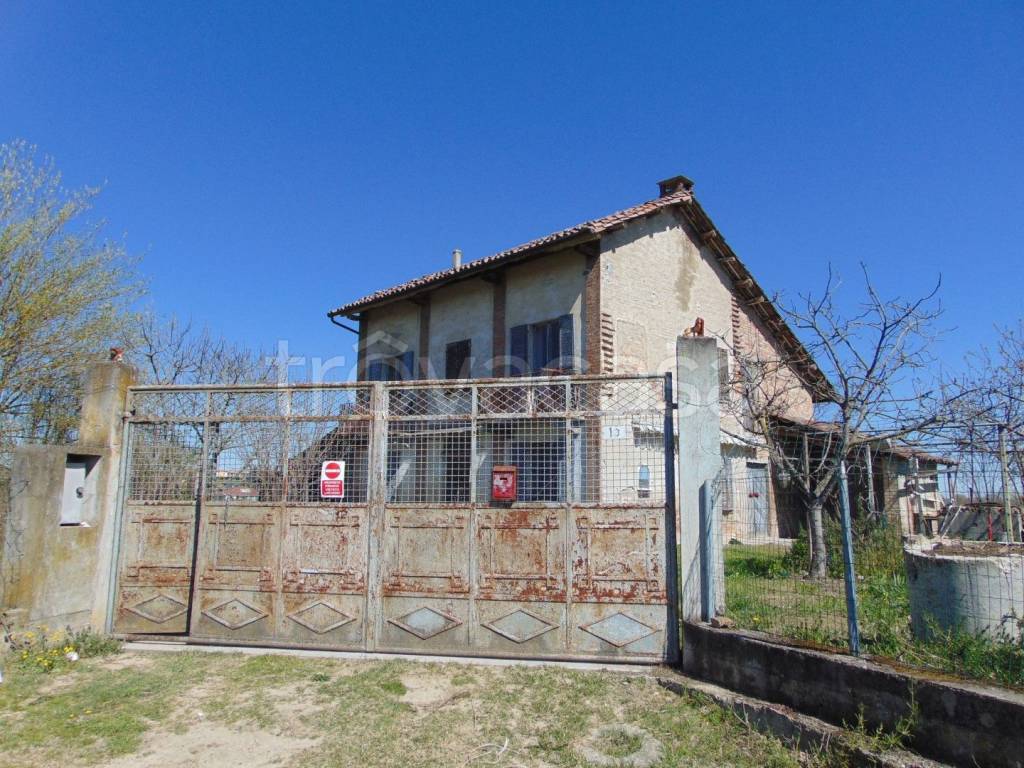 immagine annuncio 11 di 15