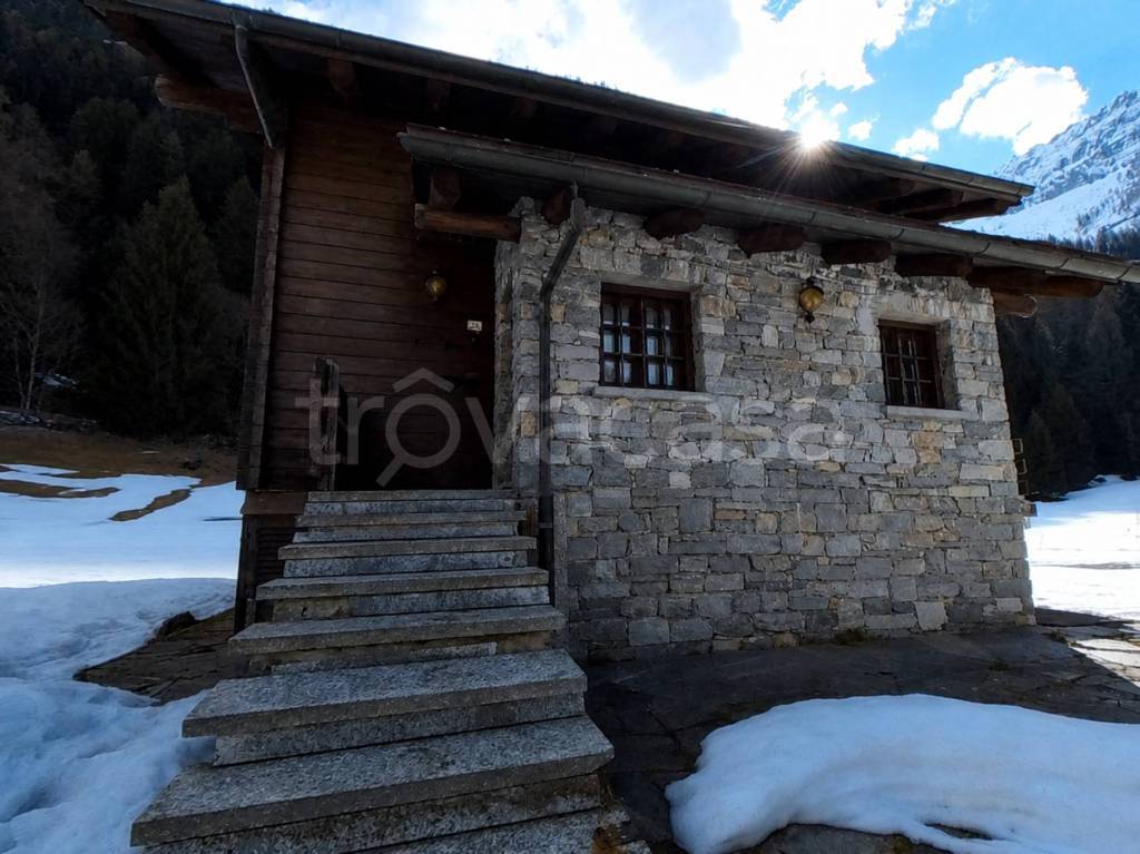 immagine annuncio 1 di 11