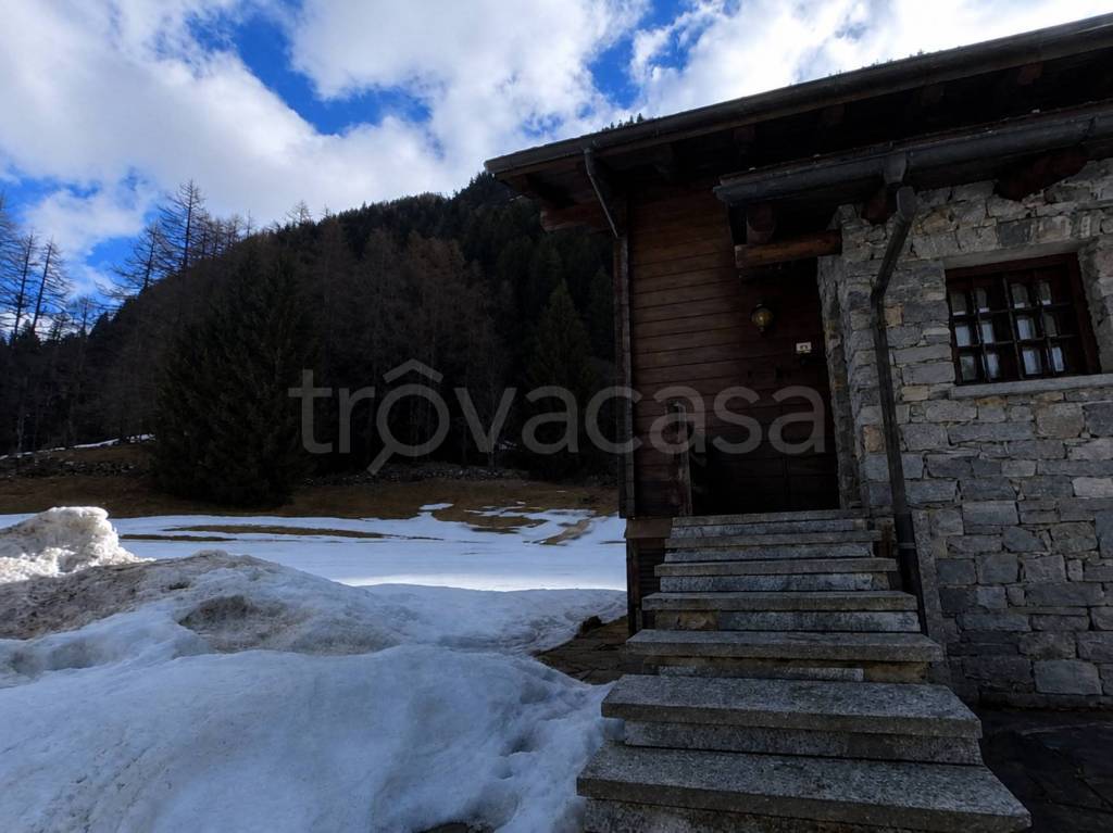 immagine annuncio 3 di 11