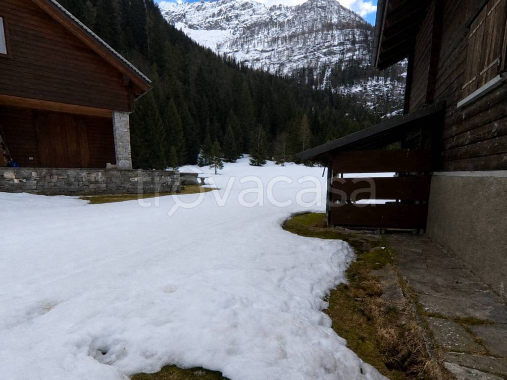 immagine annuncio 8 di 11