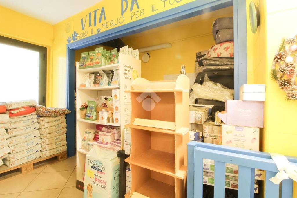 immagine annuncio 7 di 11