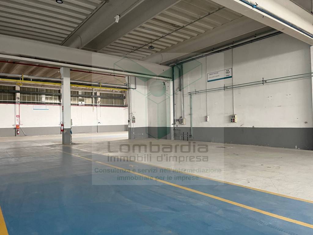 immagine annuncio 2 di 8
