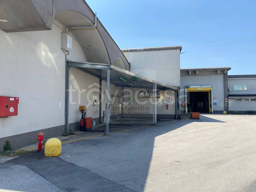 immagine annuncio 5 di 8