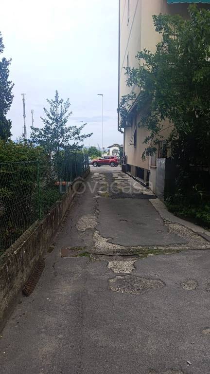 immagine annuncio 1 di 3