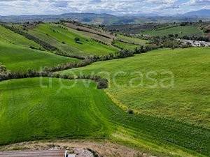 immagine annuncio 10 di 14