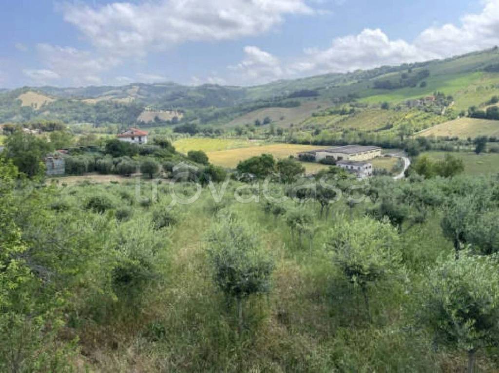 immagine annuncio 3 di 12
