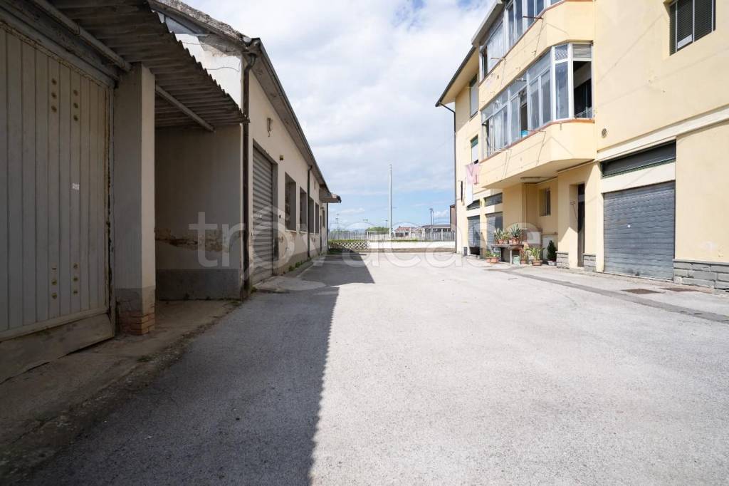 immagine annuncio 6 di 14