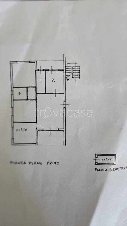 immagine annuncio 3 di 12