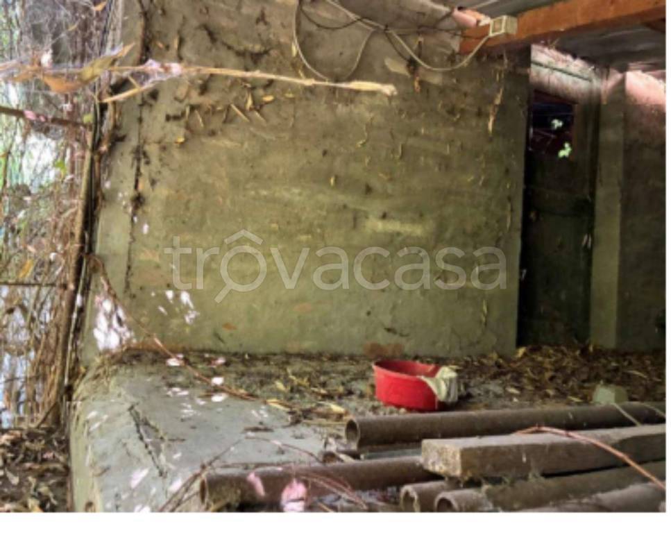 immagine annuncio 11 di 14