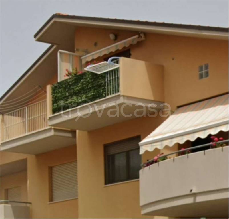 immagine annuncio 6 di 14