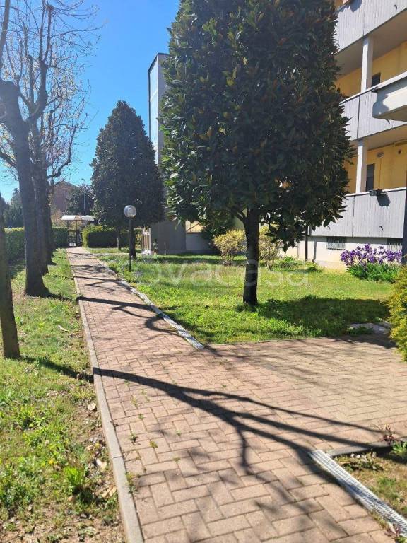 immagine annuncio 5 di 15