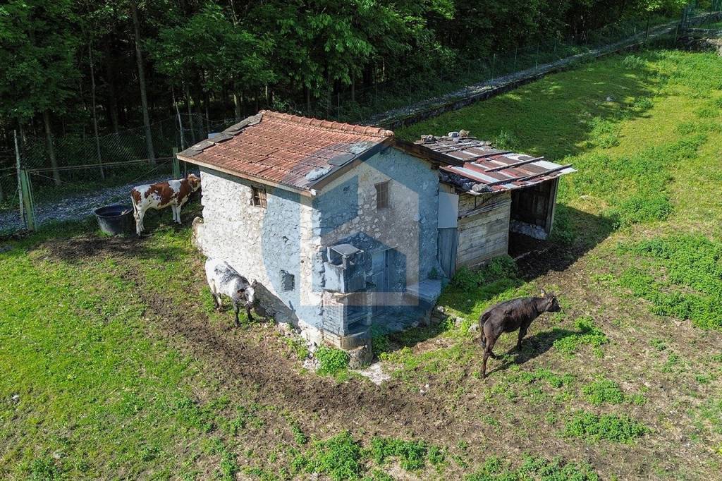 immagine annuncio 6 di 12