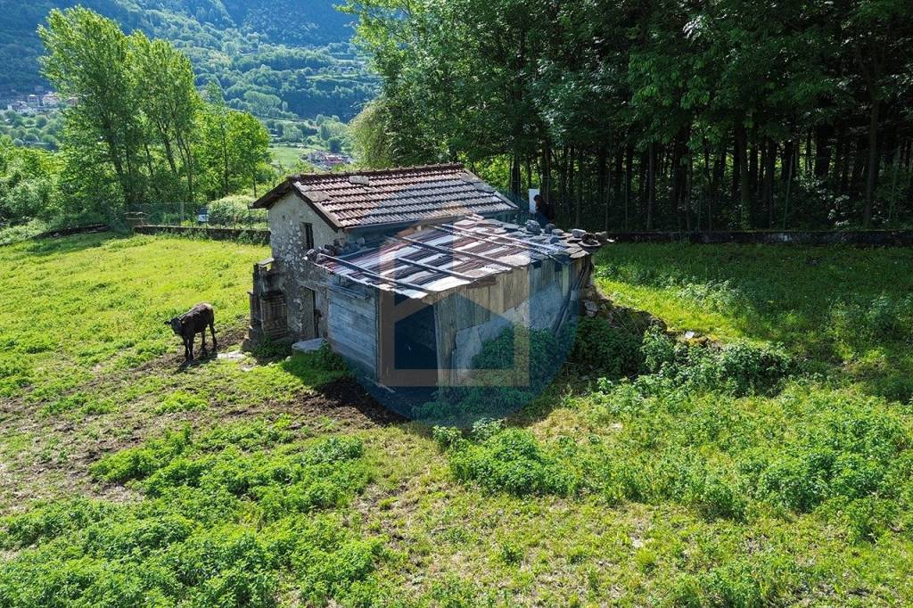 immagine annuncio 8 di 12