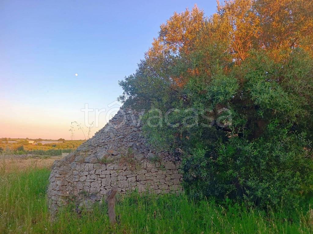 immagine annuncio 4 di 8