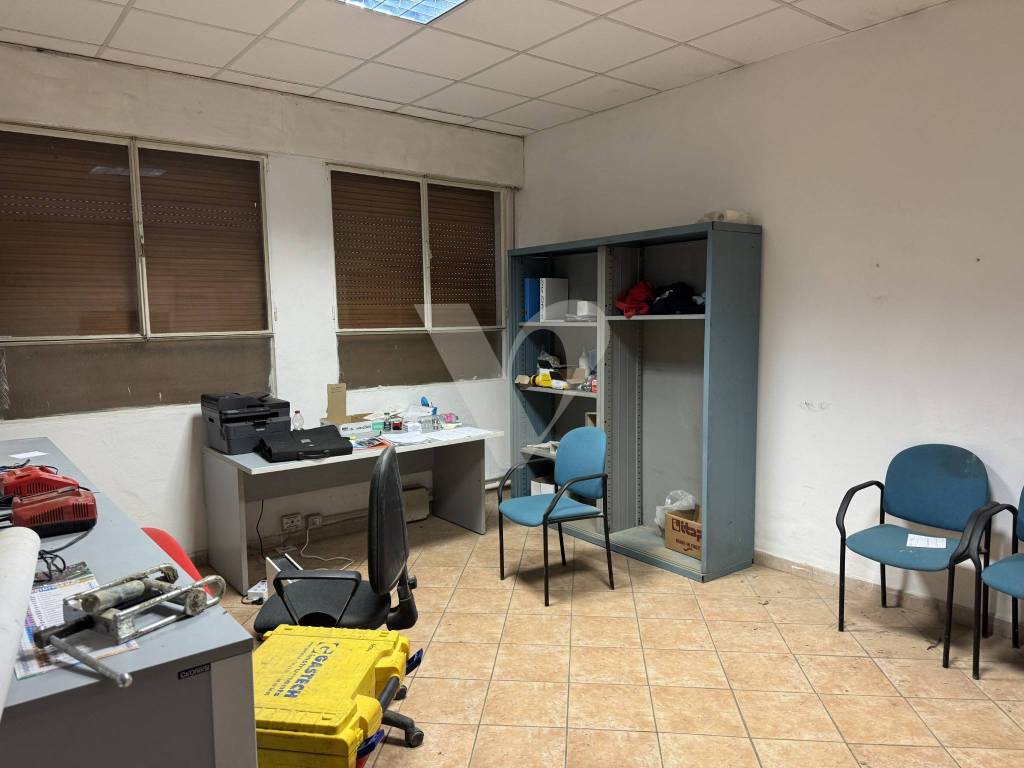 immagine annuncio 9 di 15