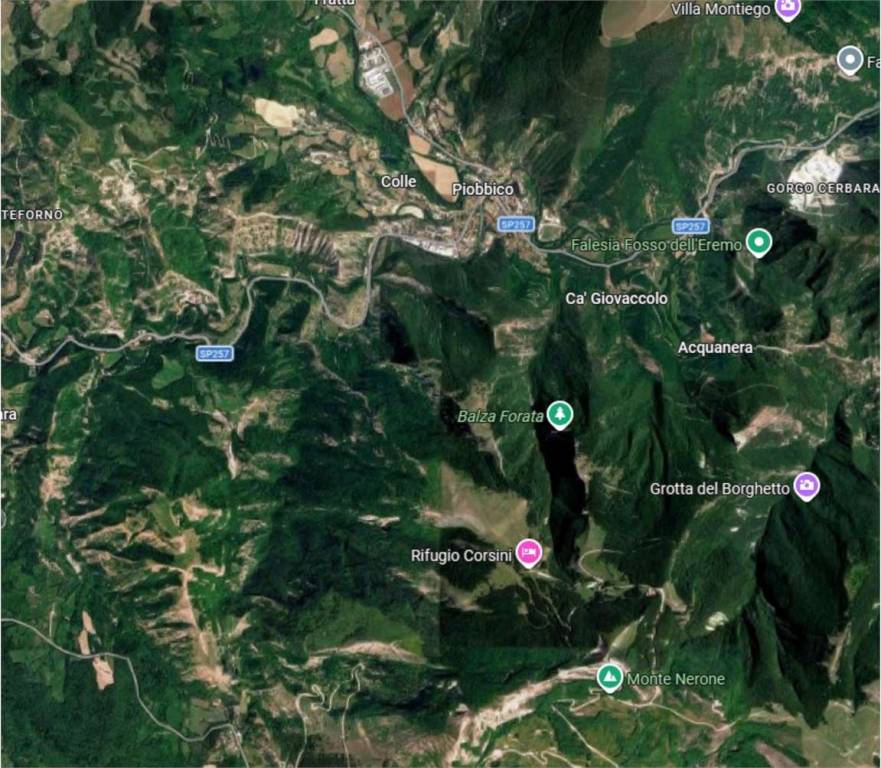immagine annuncio 9 di 10