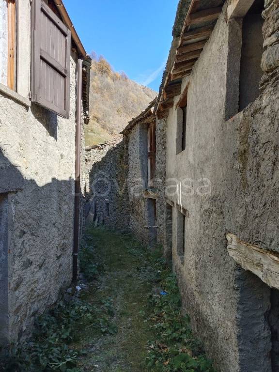 immagine annuncio 2 di 6
