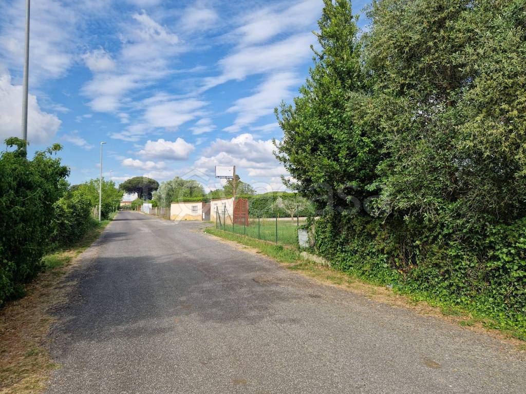 immagine annuncio 7 di 9