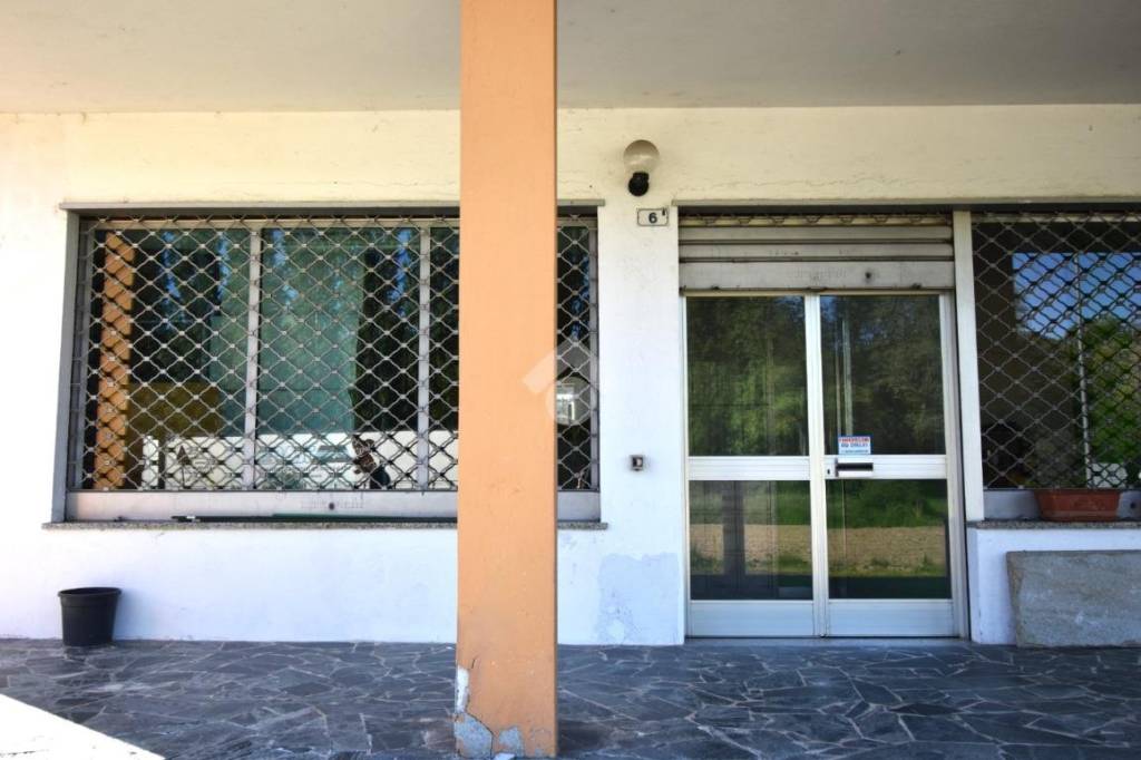 immagine annuncio 1 di 14