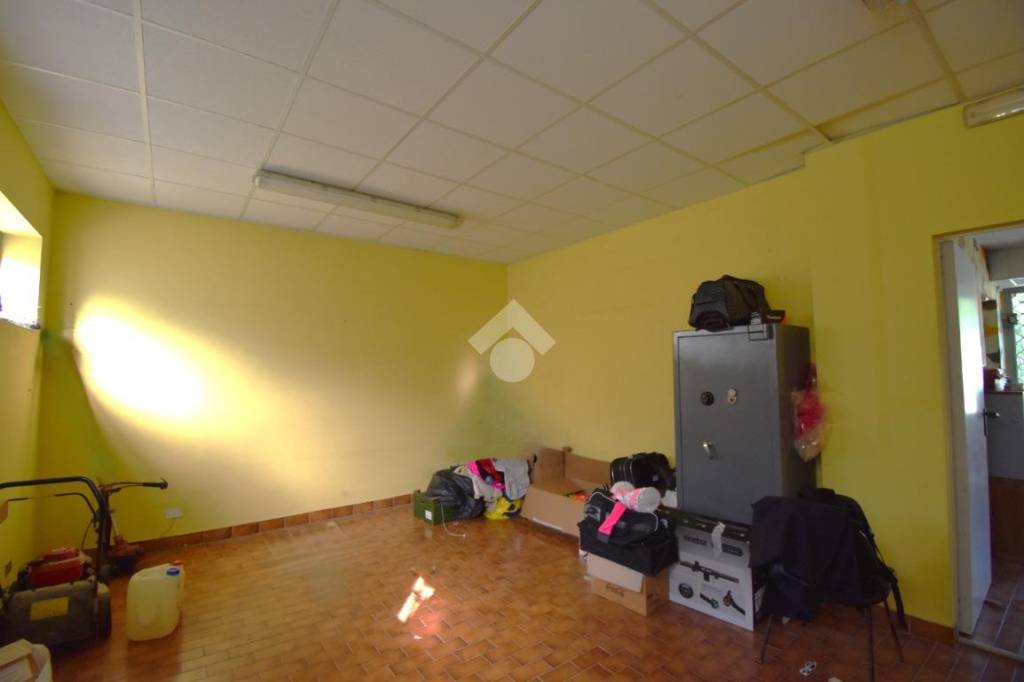 immagine annuncio 11 di 14