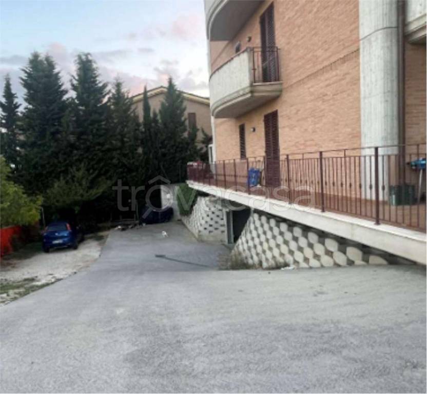 immagine annuncio 4 di 14