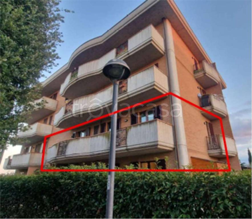 immagine annuncio 5 di 14