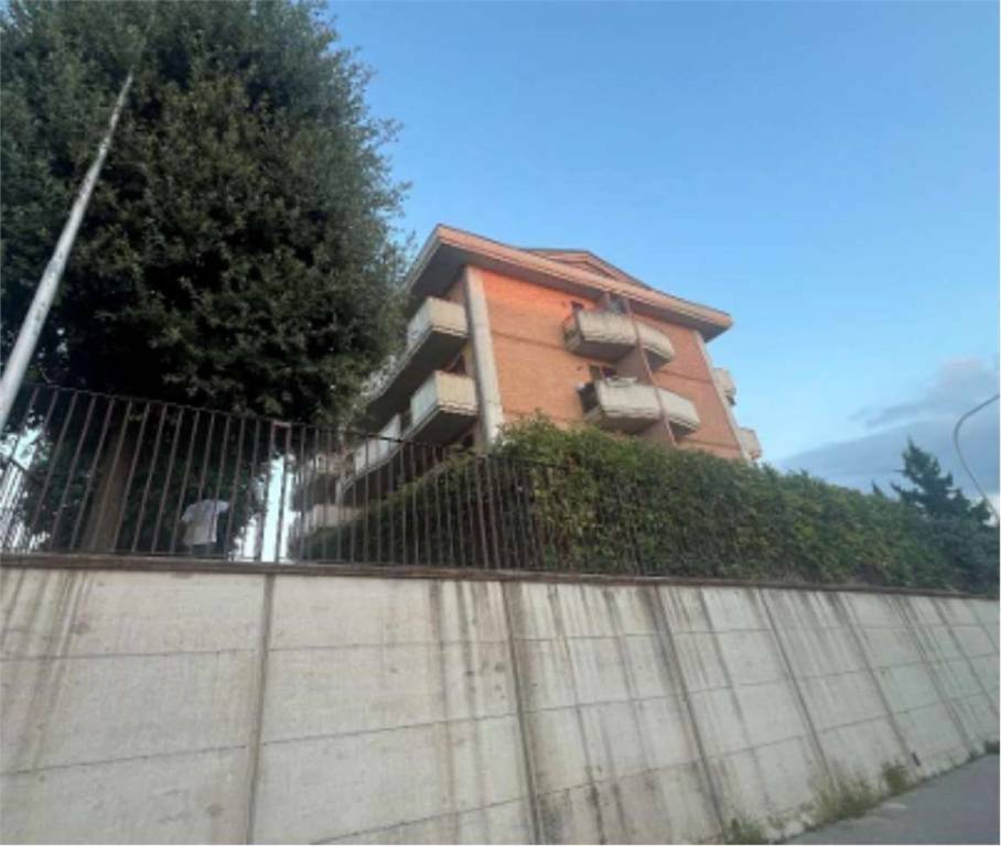 immagine annuncio 6 di 14