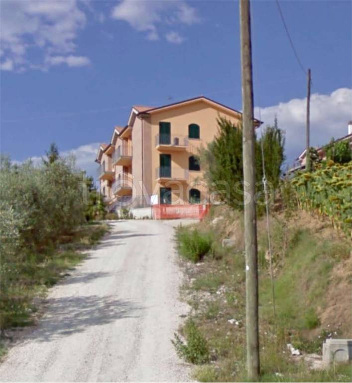 immagine annuncio 11 di 12