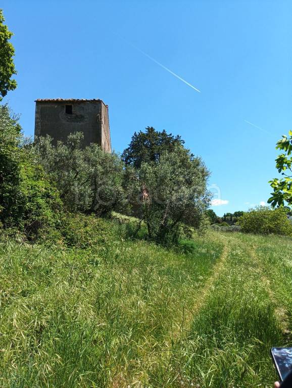immagine annuncio 2 di 6