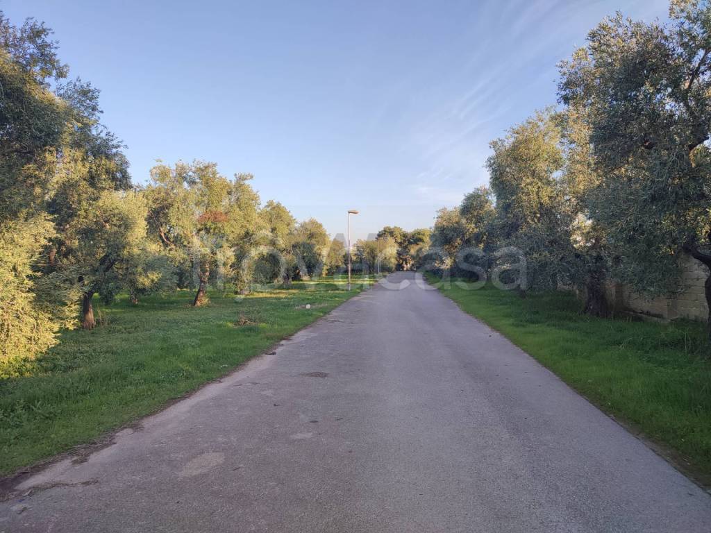 immagine annuncio 2 di 8