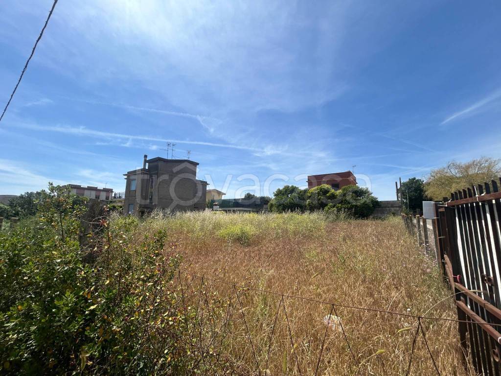 immagine annuncio 5 di 8