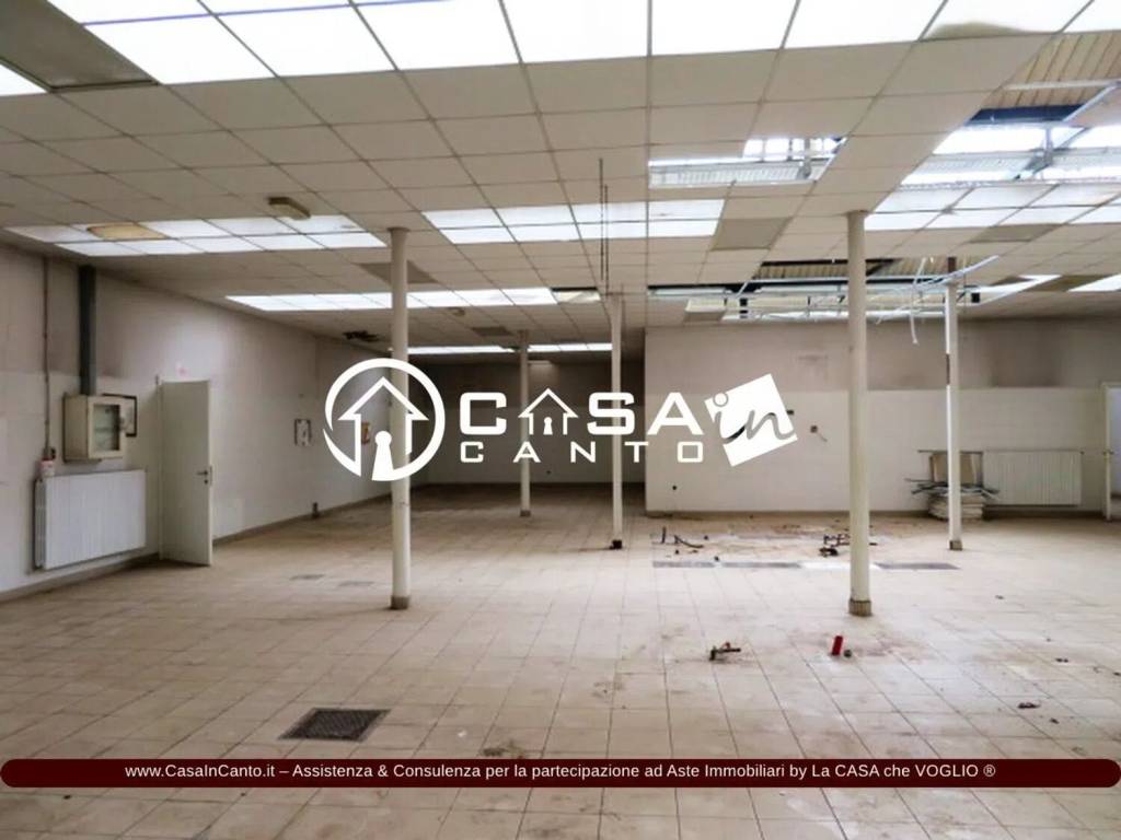 immagine annuncio 2 di 10