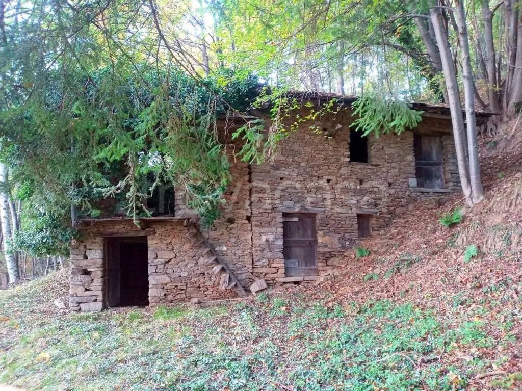 immagine annuncio 1 di 3