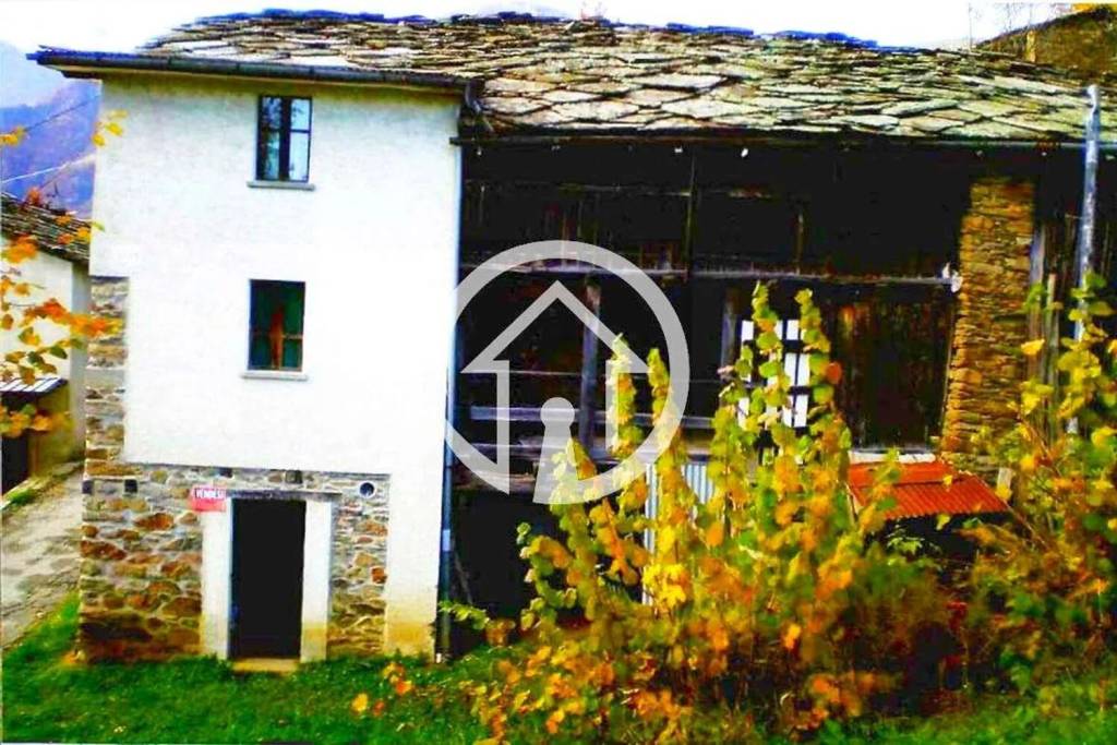 immagine annuncio 3 di 11