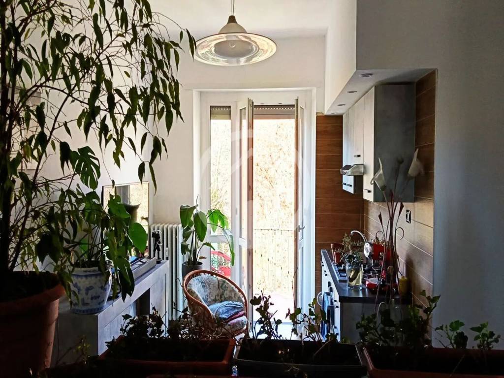 immagine annuncio 5 di 12