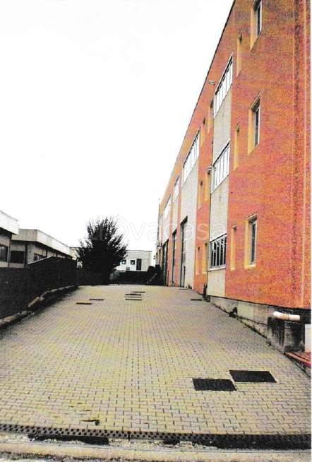 immagine annuncio 6 di 15