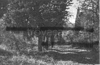 immagine annuncio 7 di 12