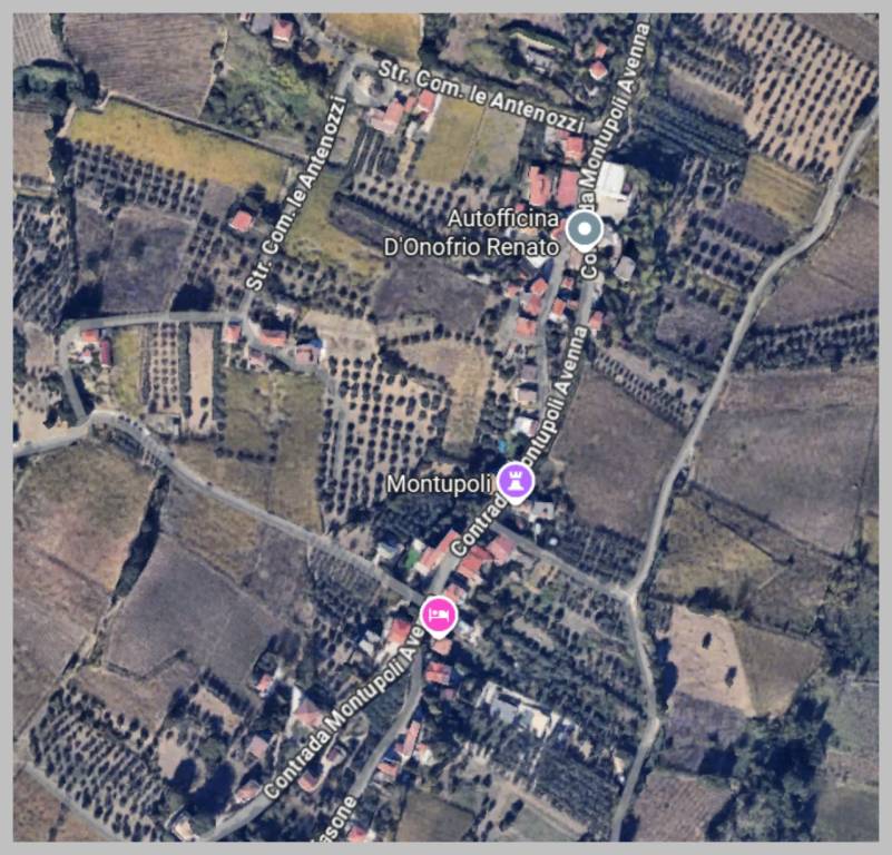 immagine annuncio 9 di 15