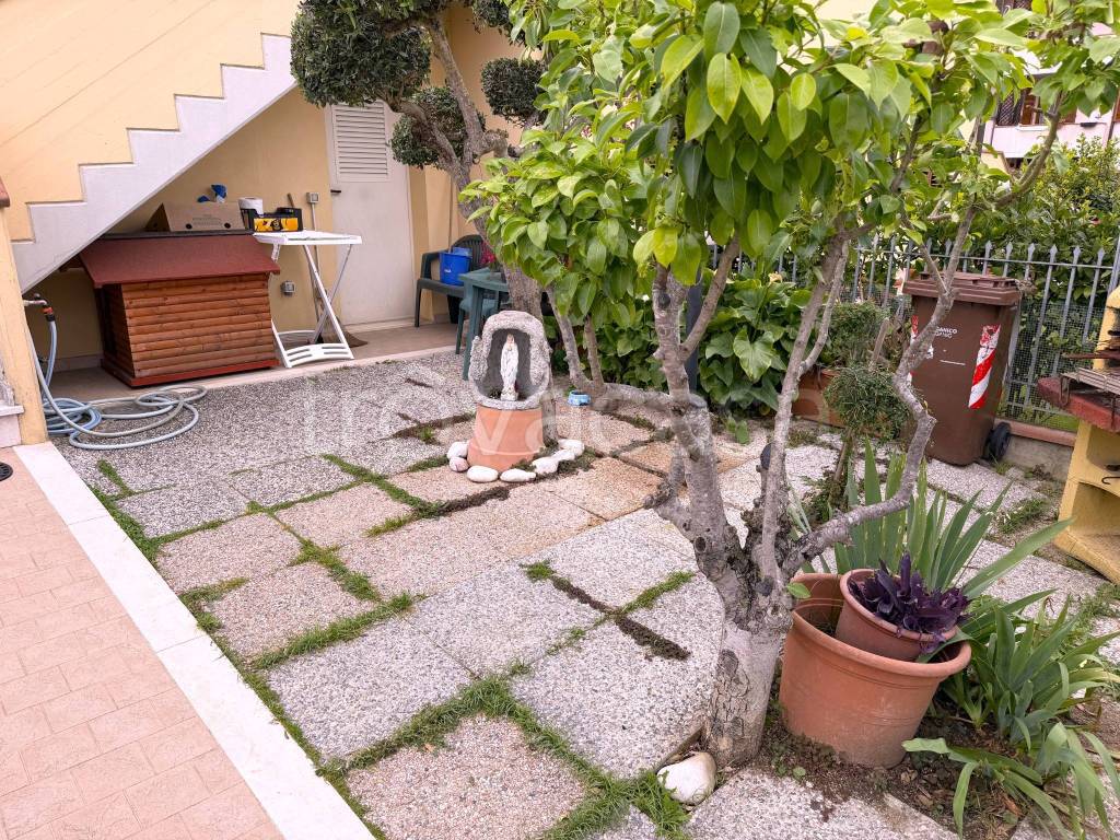 immagine annuncio 12 di 14